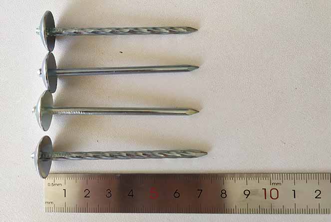 Roofing Nails