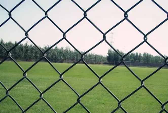 Chain Link Mesh